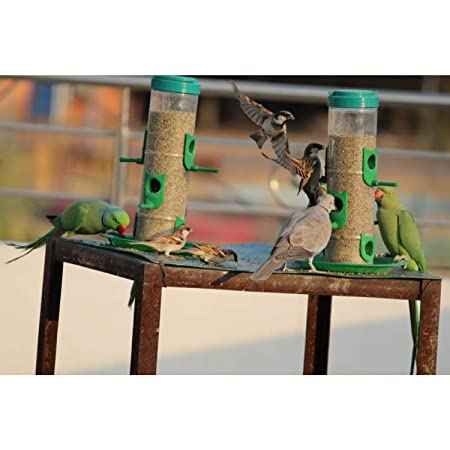 Skybeings Bird Feeder 