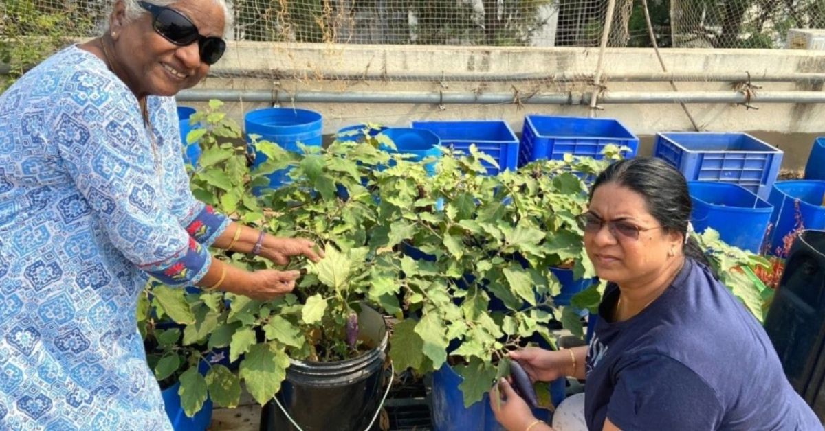 Bengaluru Family Converts Terrace Into Lush Organic Farm, Cut Household Expenses by 60%