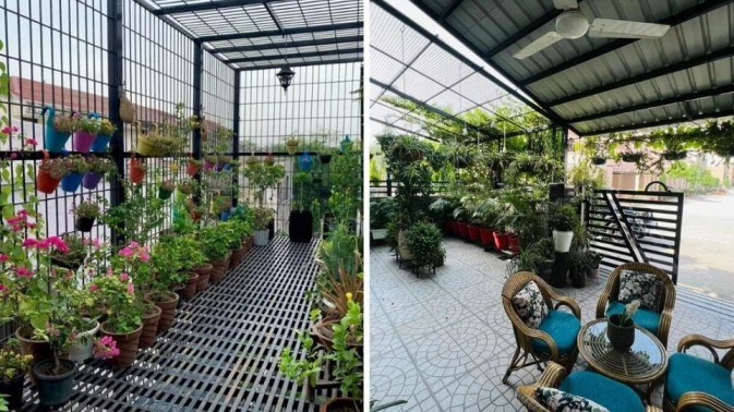 In Noida’s Concrete Jungle, Woman Creates A ‘Mini Hill Station’ With 3000 Plants