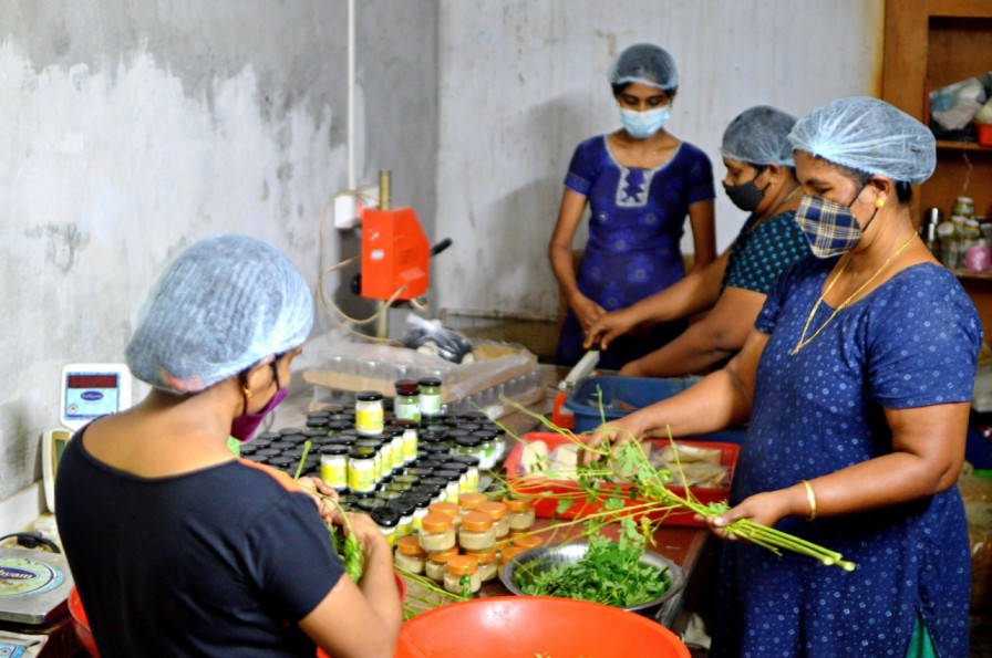 Quitting Bank Job, Woman Sells Healthy Flour Made From Moringa, Millets & More