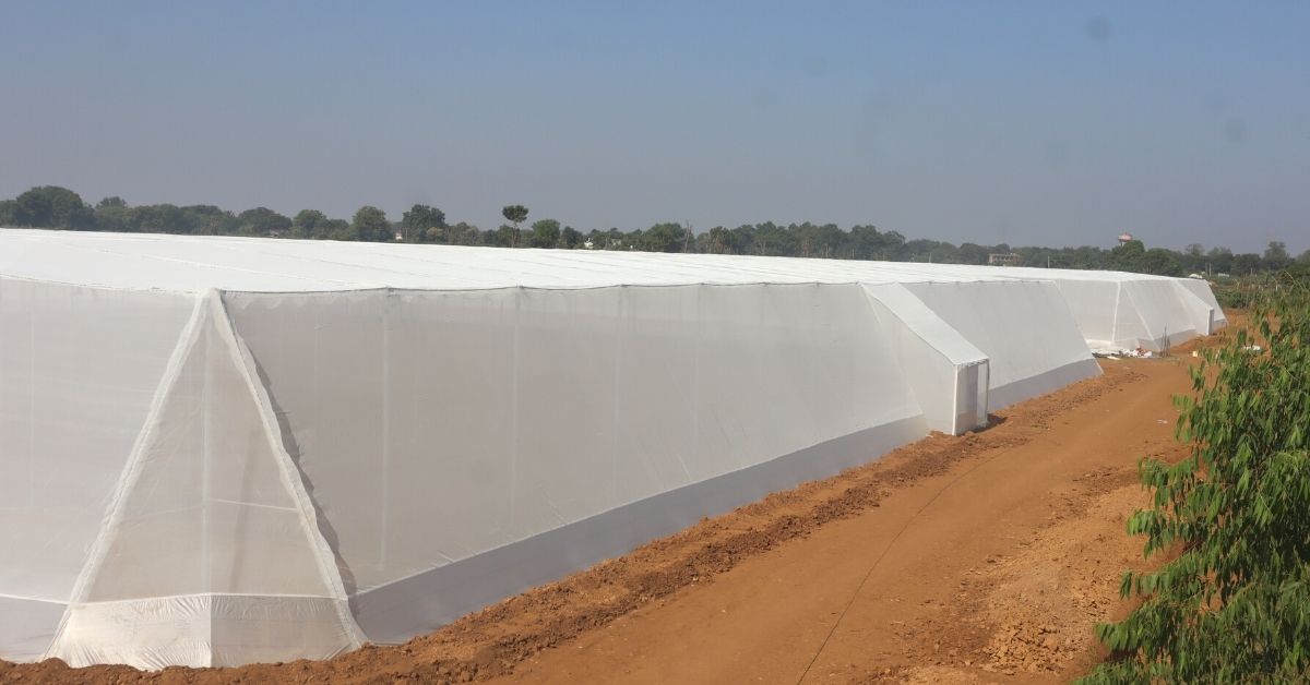 Brio Hydroponics earn lakhs