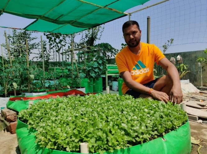 How to Make Compost Using Potato Peels: Expert Shares Tips for Healthy Plants