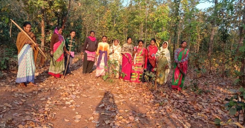 Jharkhand forest guard environment