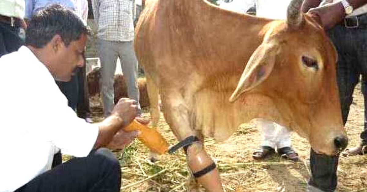 Meet the Vet Who Used his Savings to Come up with India’s First Prosthetic Limbs for Animals
