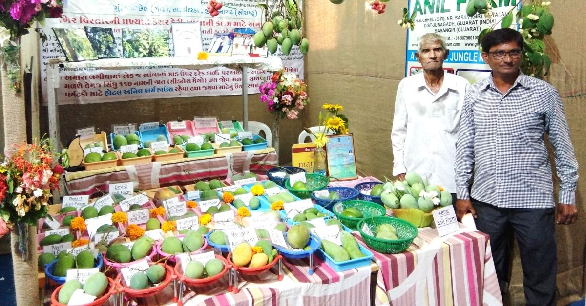 Anil Mango Farm House Gir national park