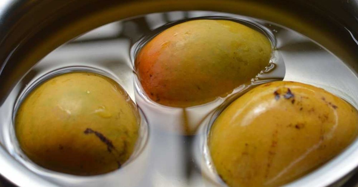 Mangoes soaked in water