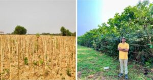 IAS Officer Converts Dumpyard Into City’s Green Lungs With 60,000 Trees in Just a Year