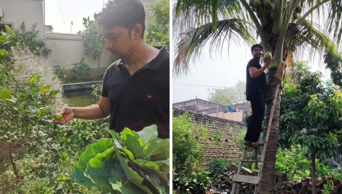 In Patna's Concrete Jungle, Engineer's Lush Farm Has a Pond, Rabbits, Chicken & More