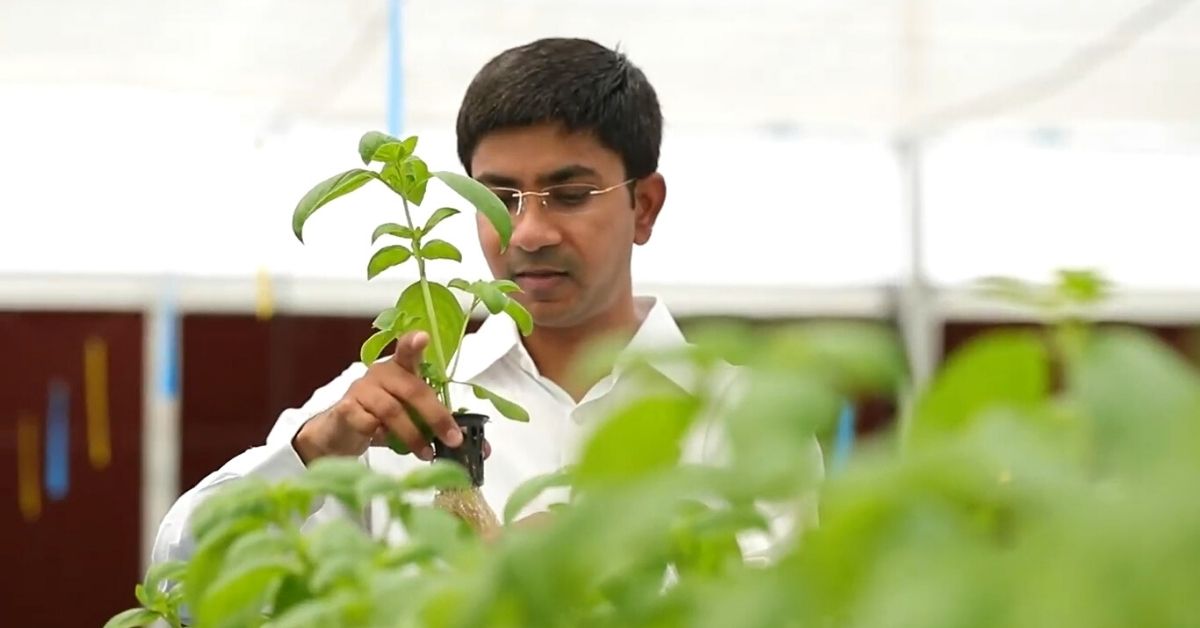 Brio Hydroponics earn lakhs