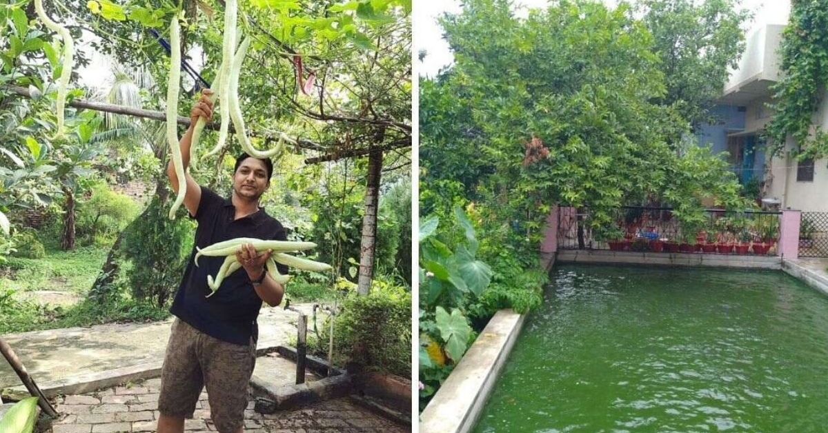 In Patna’s Concrete Jungle, Engineer’s Lush Farm Has a Pond, Rabbits, Chicken & More