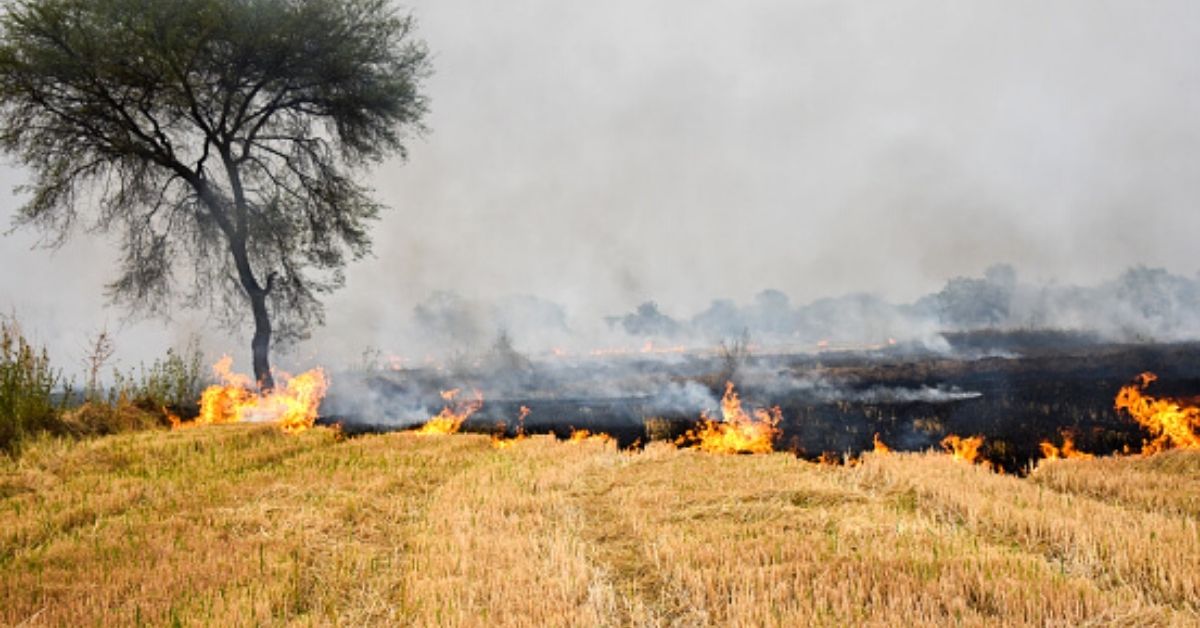 IAS hero Vikram Yadav stubble burning