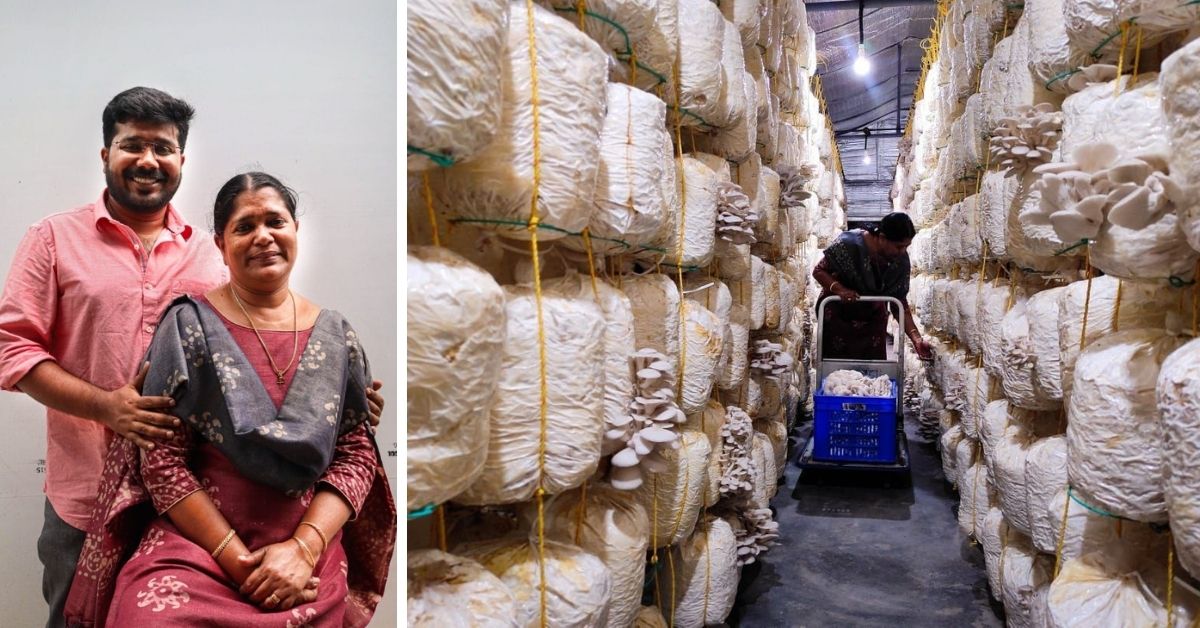 Started From One Packet, Mother-Son Duo’s Mushroom Farming Now Earns Rs 40000/Day