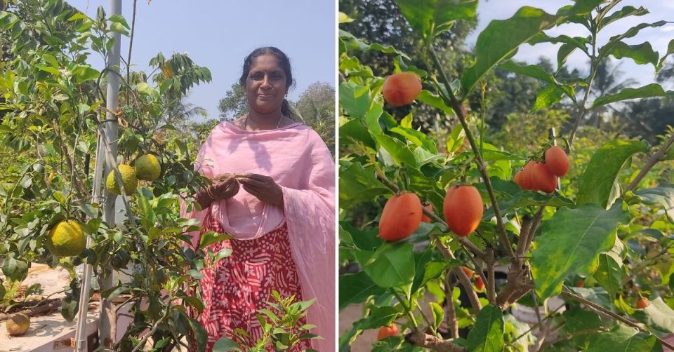 Bindu at her terrace garden