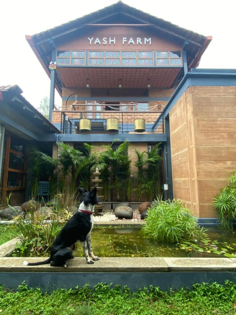 10 Charming EcoStays For a Weekend Getaway Near Bengaluru