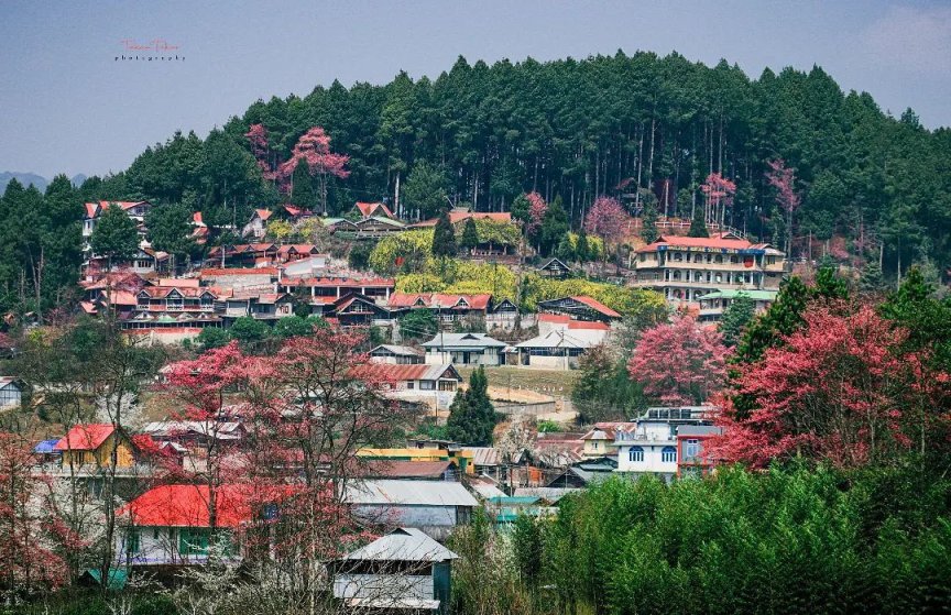 Ziro, Arunachal Pradesh