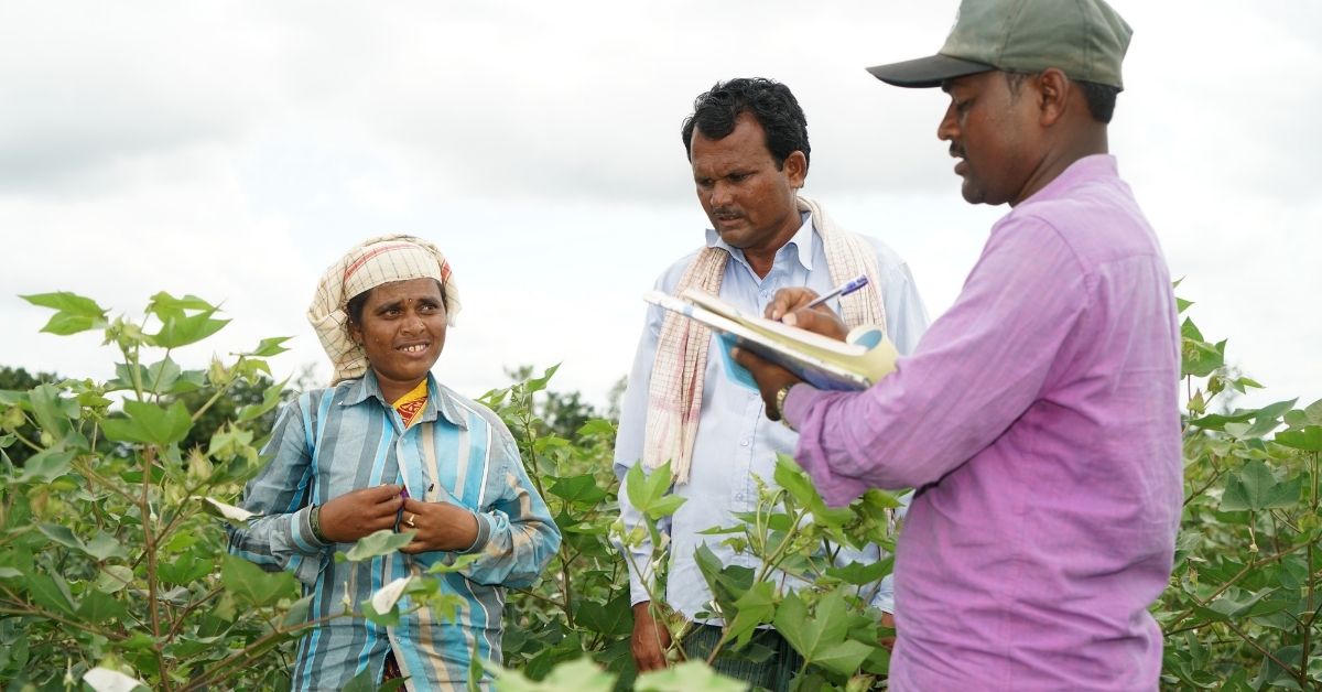 Cultivators in cottonseed farms