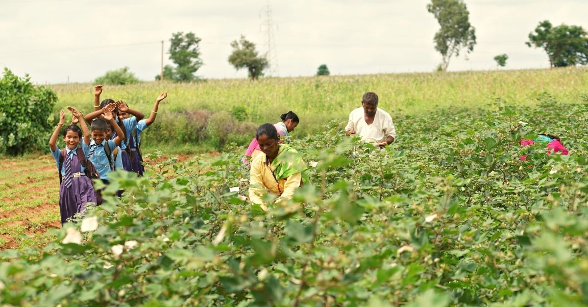 How One Program Helped Rescue Over 1300 Child Labourers Working in Cotton Fields