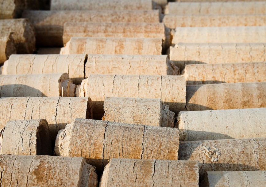 Once the biowaste is converted into briquettes, the value of the biomass doubles. 