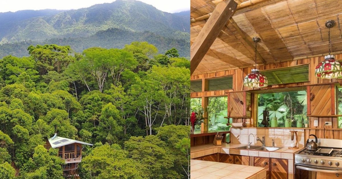 La exuberante comunidad de la casa del árbol de una pareja salva la selva tropical de Costa Rica