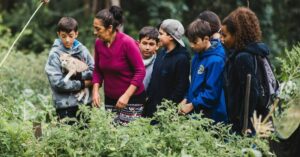 What Robinson Crusoe Island Taught Me About Sustainability & Storytelling