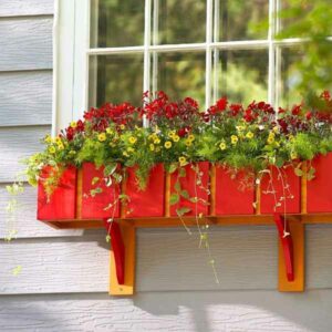 Planters on windows to keep the home cool