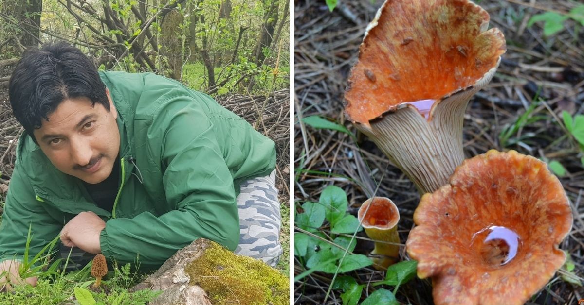 Over 20 Years, This Prof Has Identified 100 Little-Known Mushroom Varieties In Kashmir