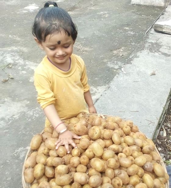 Gunwant's Daughter with Kiwi Harvest