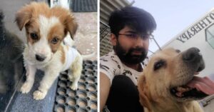 Kuldeep Khatri with the stray dogs at the hospital