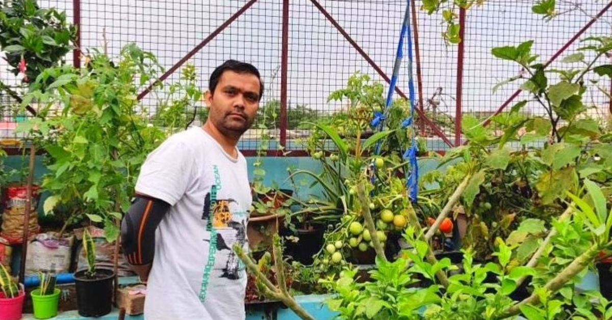 Vertical Gardening: Here’s How You Can Grow Fresh Veggies in Waste Plastic Bottles