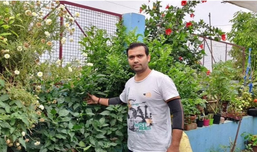 Vertical Gardening: Here’s How You Can Grow Fresh Veggies in Waste Plastic Bottles