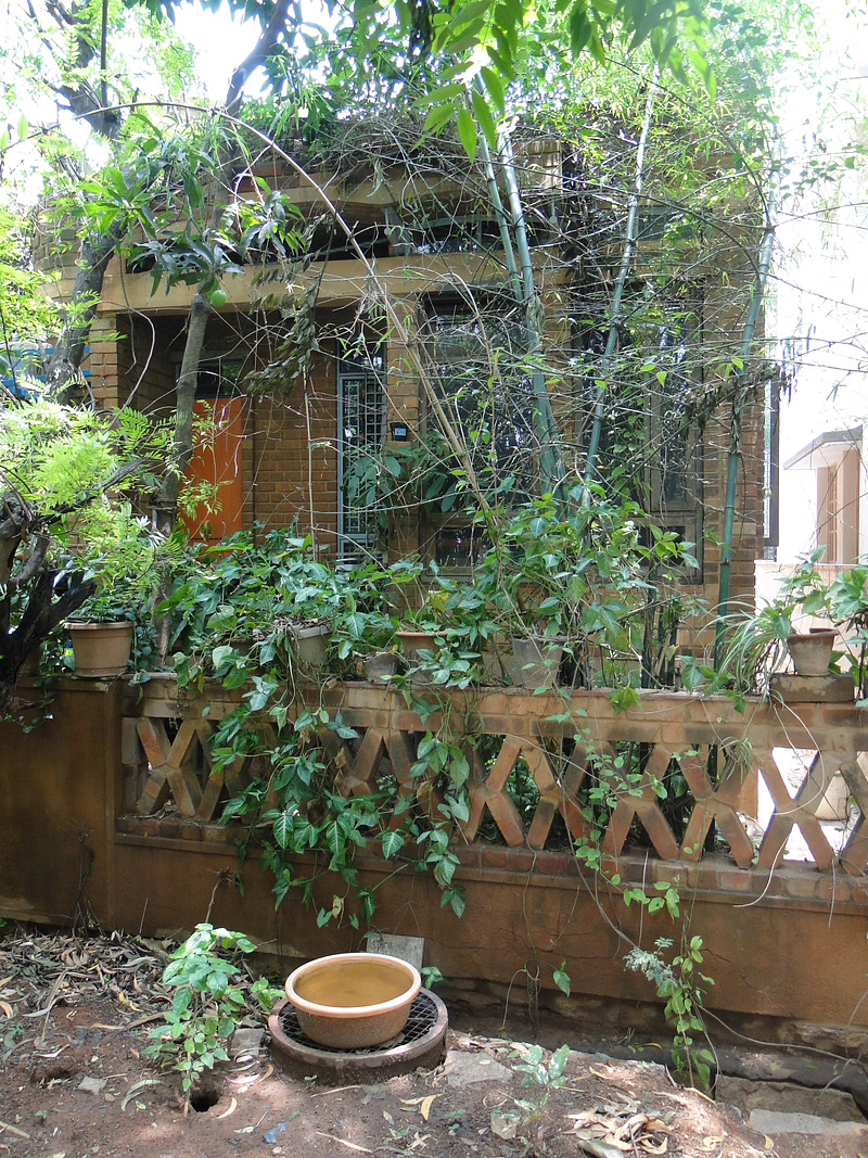 Vishwanath and Chitra's green house in Bengaluru