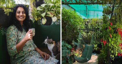 Pune Data Scientist Grows a Mini Forest With Over 500 Plants In Her Balcony
