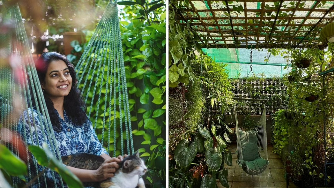 Pune Data Scientist Grows a Mini Forest With Over 500 Plants In Her Balcony