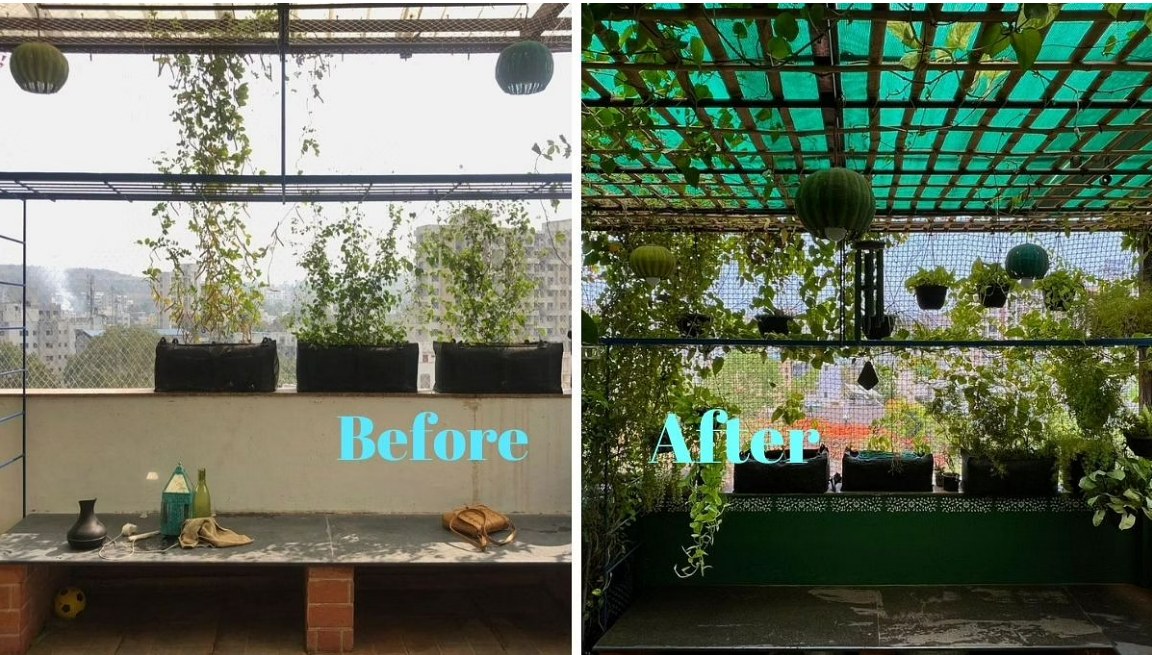 Pune Data Scientist Grows a Mini Forest With Over 500 Plants In Her Balcony