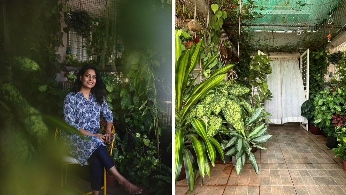 Pune Data Scientist Grows a Mini Forest With Over 500 Plants In Her Balcony