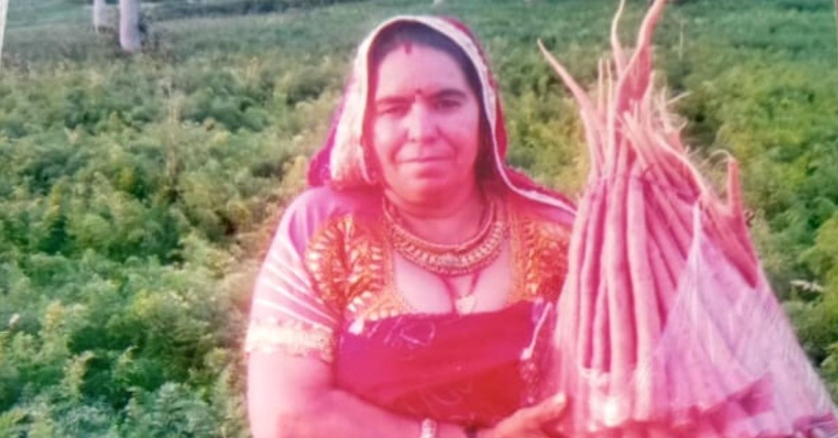 organic farming carrots success