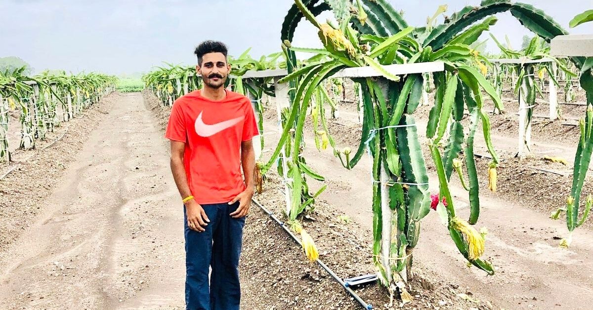 Went Four Years With No Harvest, Now I Earn Rs 4 Lakh/Acre By Growing Dragon Fruit