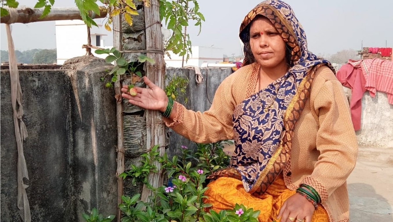 How to Grow Veggies in PVC Pipes? Bihar Woman Grows 5kg Every Week on her Terrace