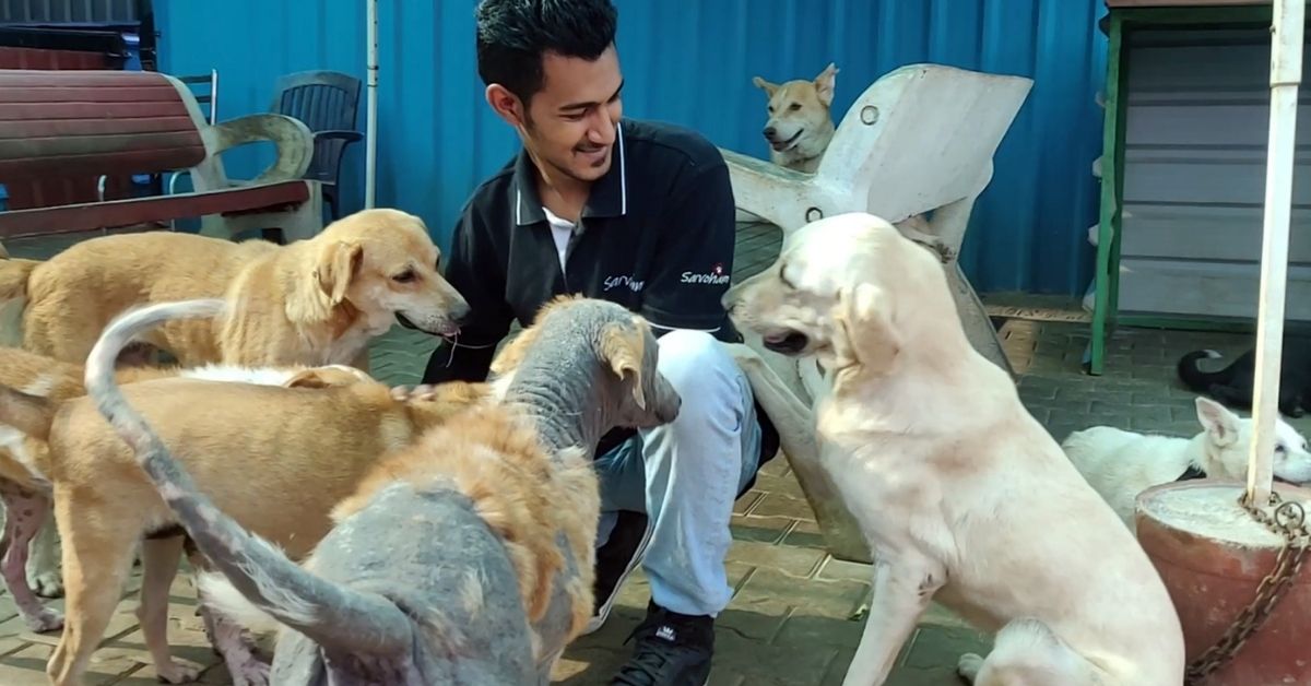 Watch: Entrepreneur Spends His Own Savings To Rescue 2000 Injured, Disabled Dogs