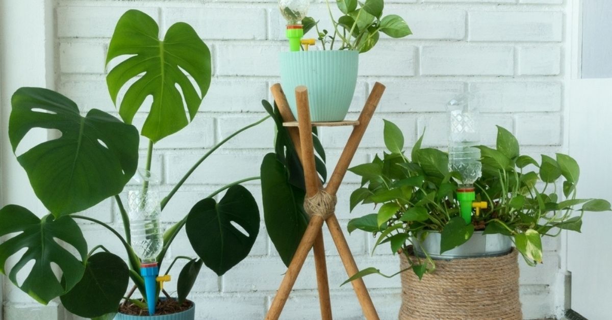 5 Smart Self-Watering Systems for Your Plants to Help Them Thrive in Summers