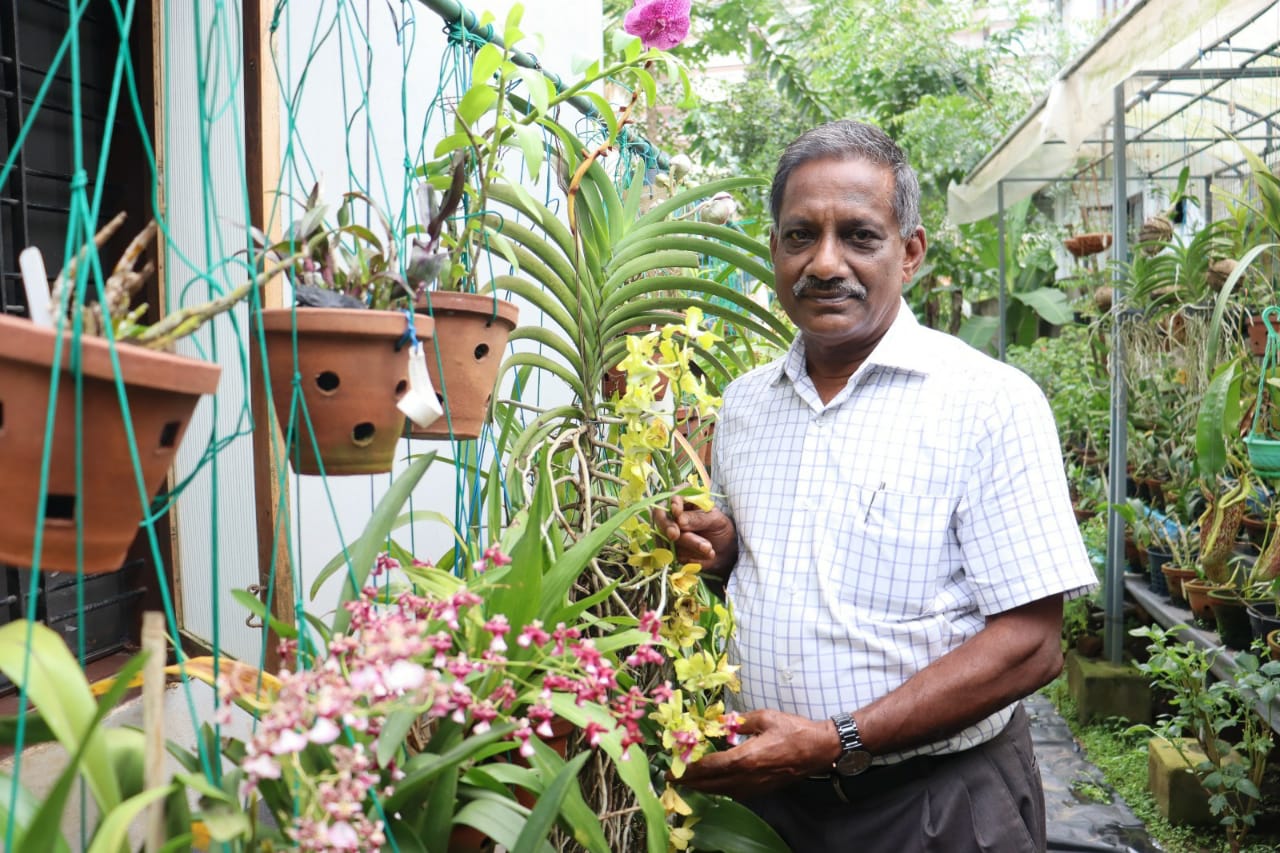 ‘How I Built an Orchid Collection’: Retd DRDO Scientist With 1500+ Plants Shares Tips