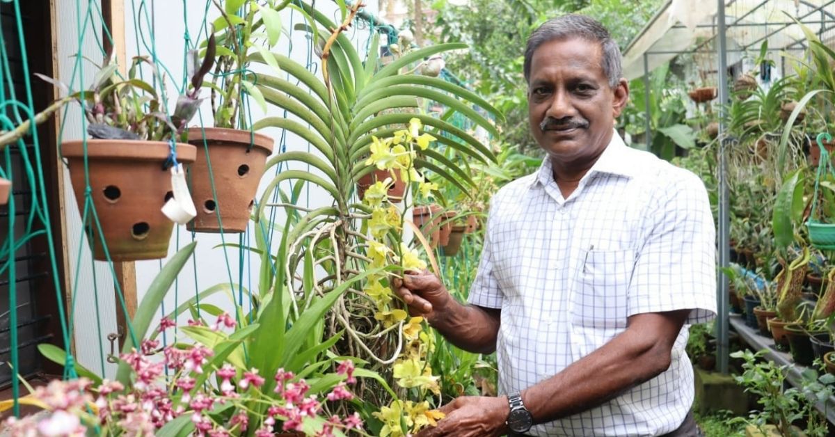 ‘How I Built an Orchid Collection’: Retd DRDO Scientist With 1500+ Plants Shares Tips