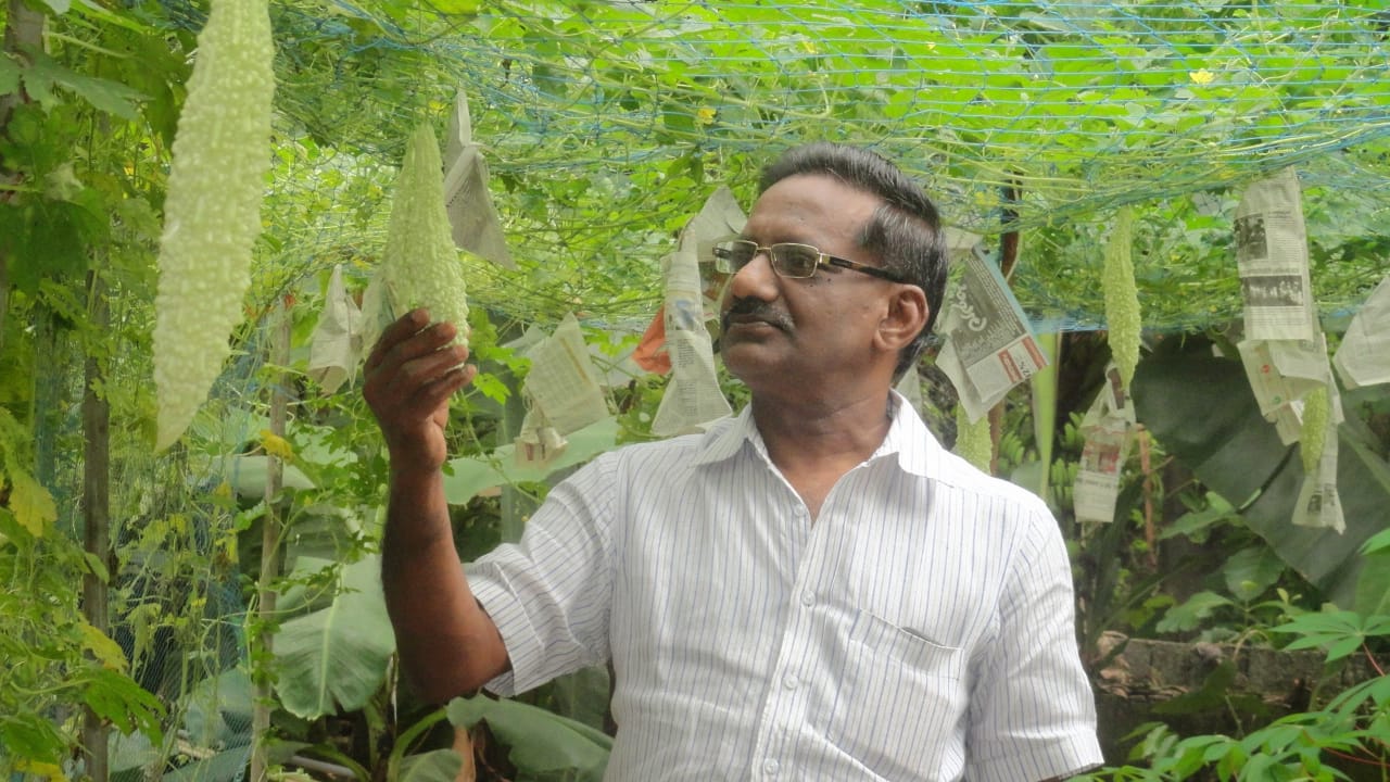 ‘How I Built an Orchid Collection’: Retd DRDO Scientist With 1500+ Plants Shares Tips