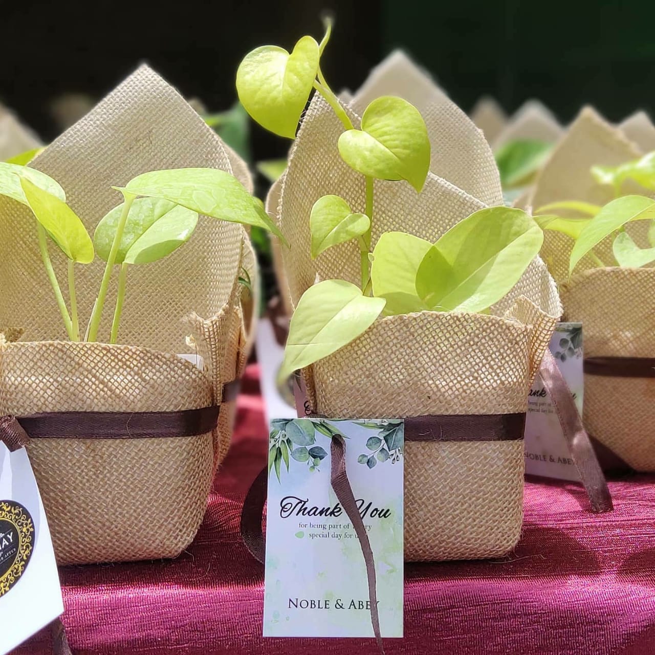 At 62, School Teacher Turned Passion for Gardening Into Plant Gift Company With the Help of Her Daughters