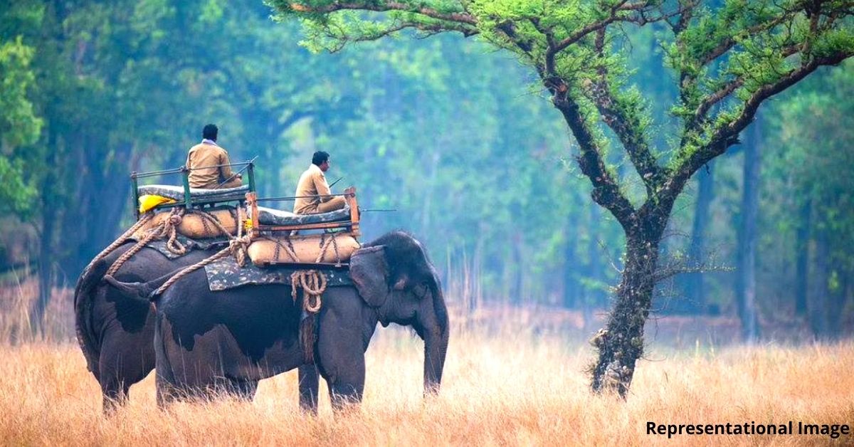 IIT-M & Harvard Develop Algorithm to Automate Rangers & Drones, Reduce Poaching