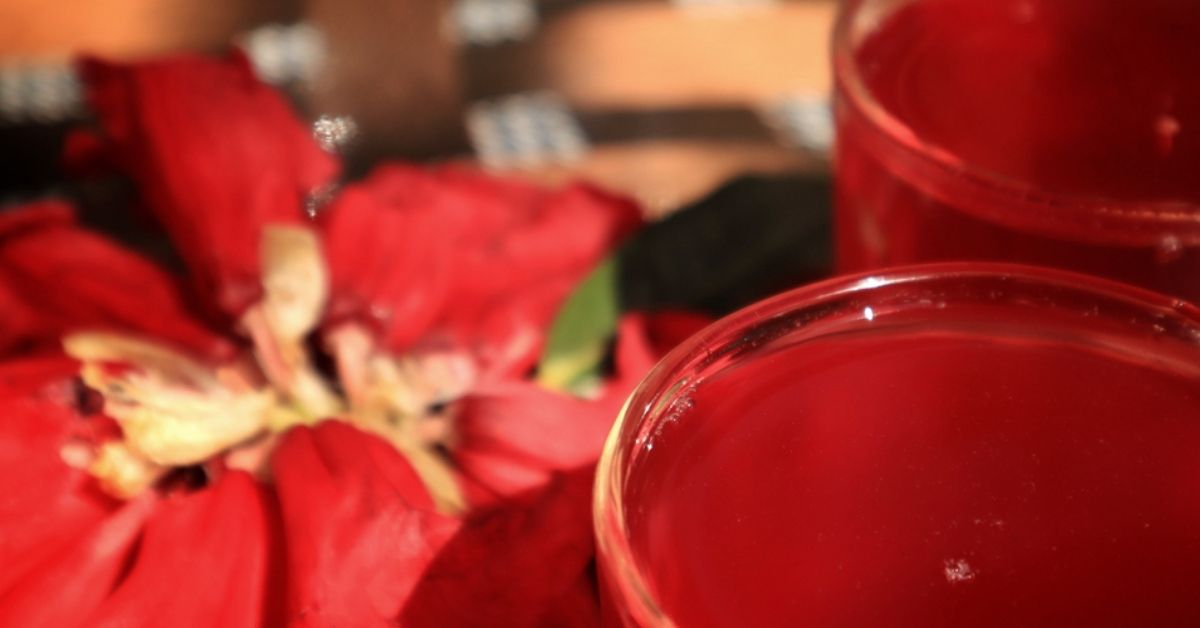 juice made with rhodendron flowers or buransh found in uttarakhand