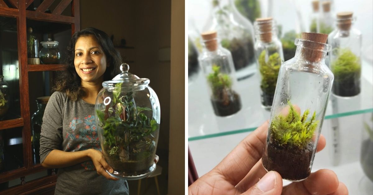 How to Make Terrariums at Home? First Steps to Your Own Microforest in a Bottle