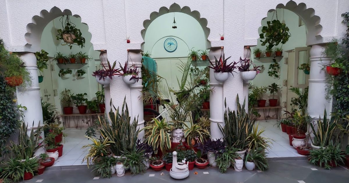 Beautifully placed plants in Chandra Shekhar Sharma’s house