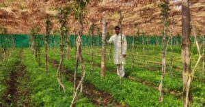 Award-Winning Farmer Earns Rs 30 Lakh/Year With Unique Method that Saves Space & Water