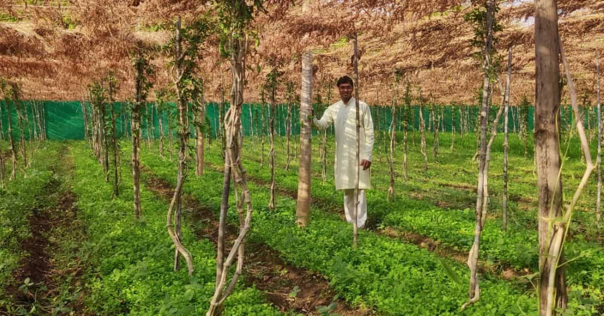 Award-Winning Farmer Earns Rs 30 Lakh/Year With Unique Method that Saves Space & Water
